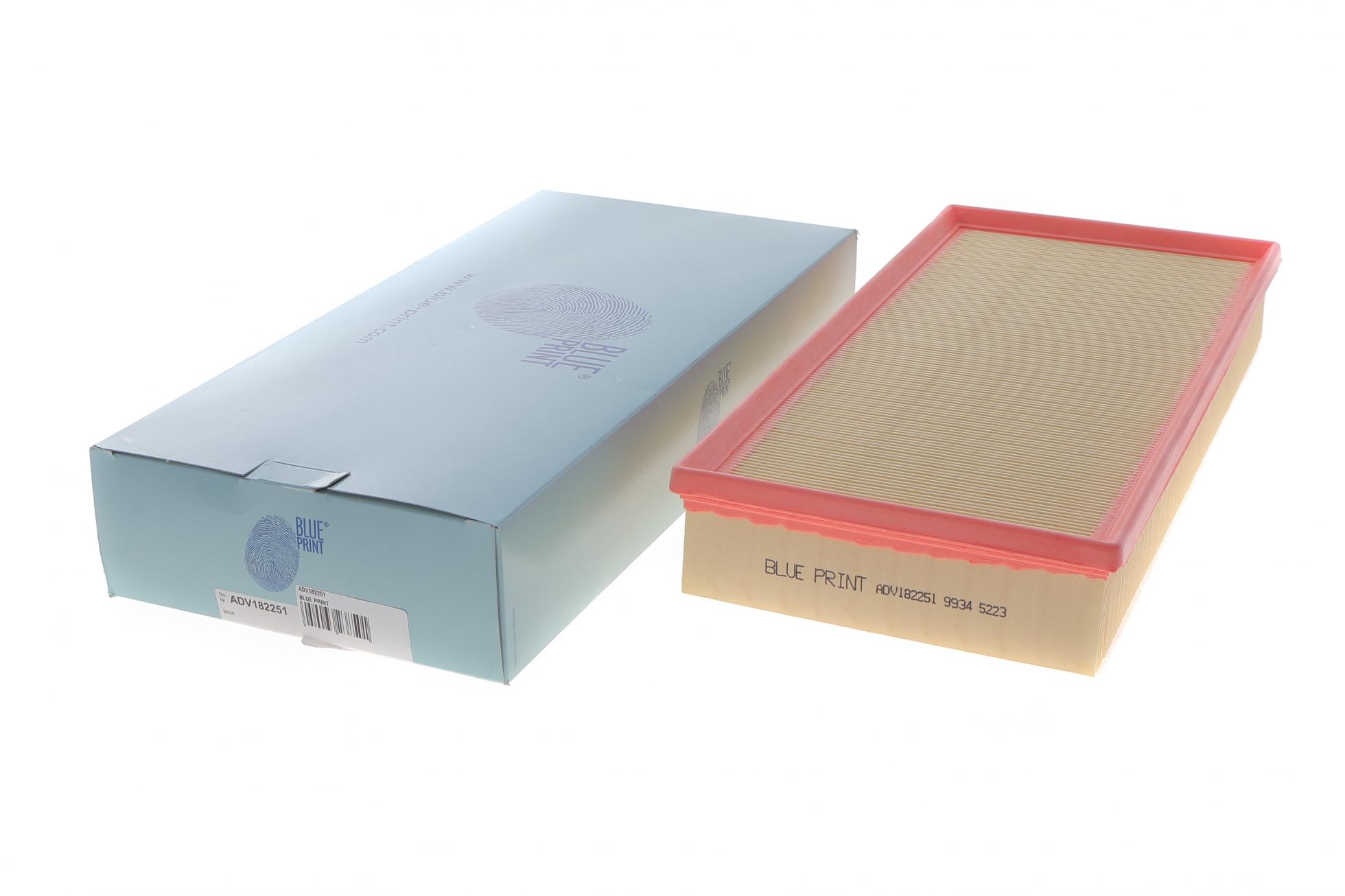 ADV182251 BLUE PRINT